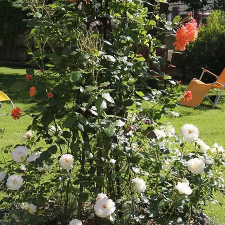 Pensión Residenz Am Schloss