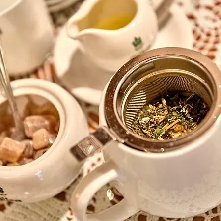 Residenz Am Schloss Pensión Dresde