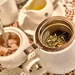 رزيدنز أم شلوس بيت ضيافة دريسدن