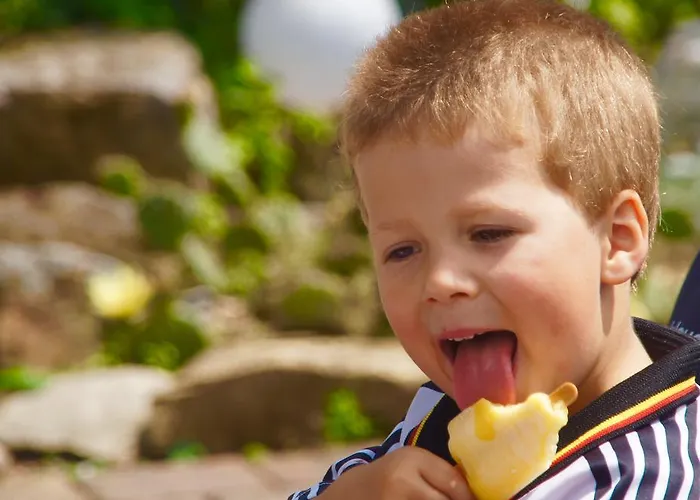 رزيدنز أم شلوس 2* دريسدن